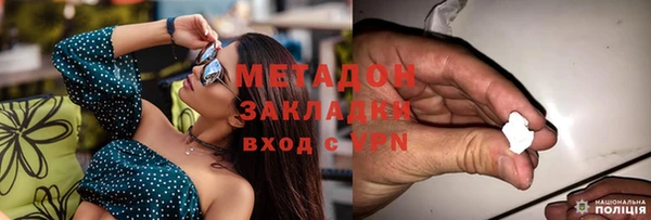 прущие грибы Арсеньев