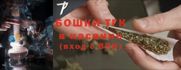 прущие грибы Арсеньев
