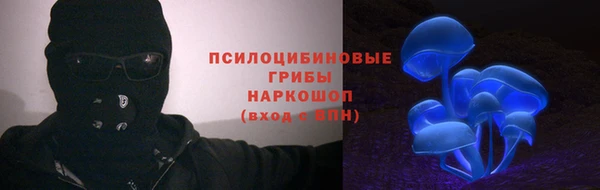 прущие грибы Арсеньев