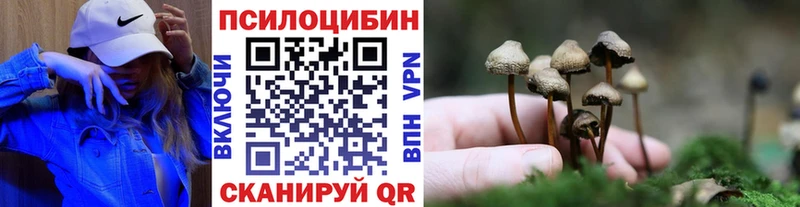 ОМГ ОМГ ССЫЛКА  Магадан  Галлюциногенные грибы Magic Shrooms 